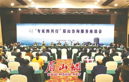 專(zhuān)家四川行 眉山咨詢(xún)服務(wù)座談會(huì)成功舉行，共繪發(fā)展新藍(lán)圖